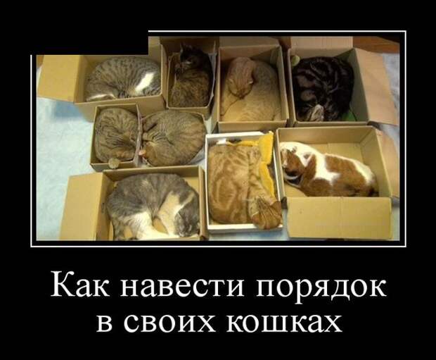 Демотиваторы (30 фото)