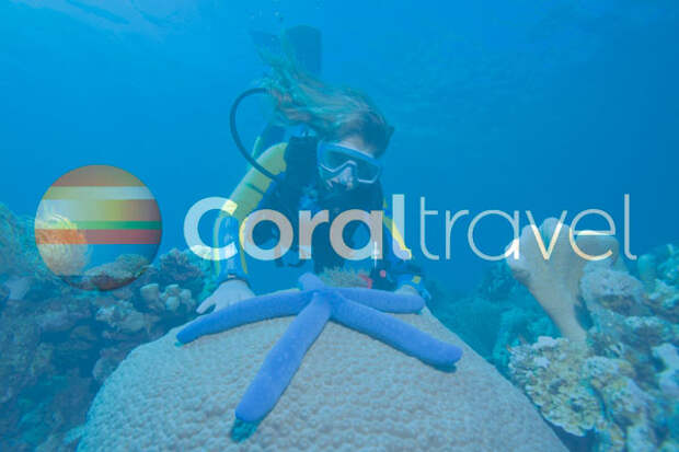 Coral Travel Постер