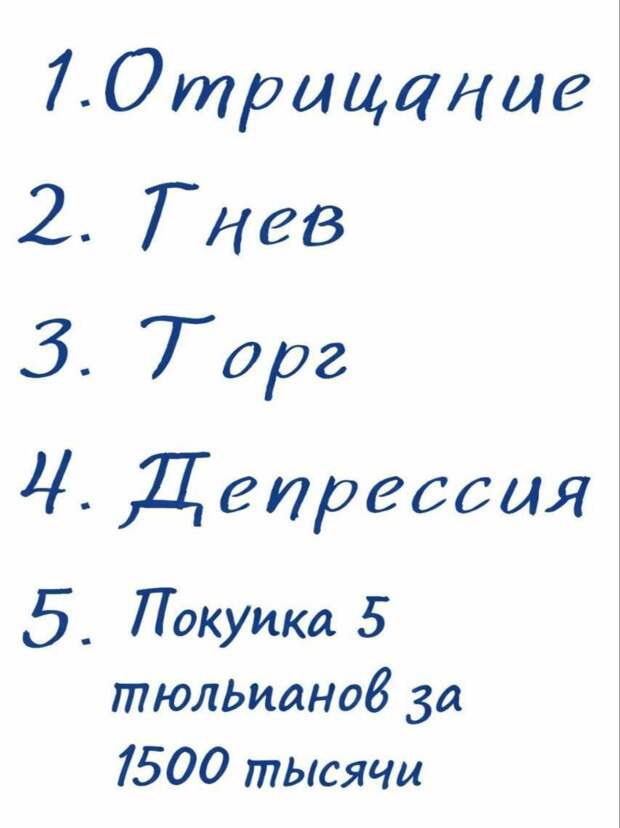 Донецкая группа новостей, Донецк ДНР