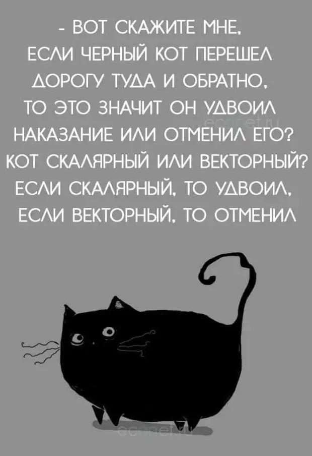 Черная кошка в доме хорошо. Юмор про черных котов. Черный кот юмор. Черный юмор про котиков. Приметы юмор.