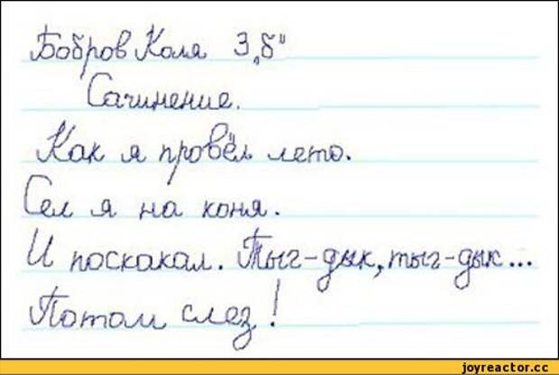 Выдержки из школьных сочинений