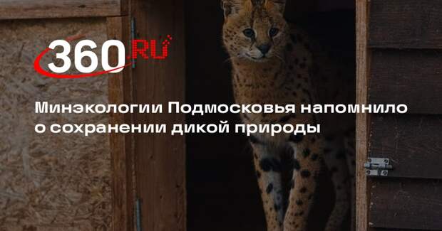 Минэкологии Подмосковья напомнило о сохранении дикой природы