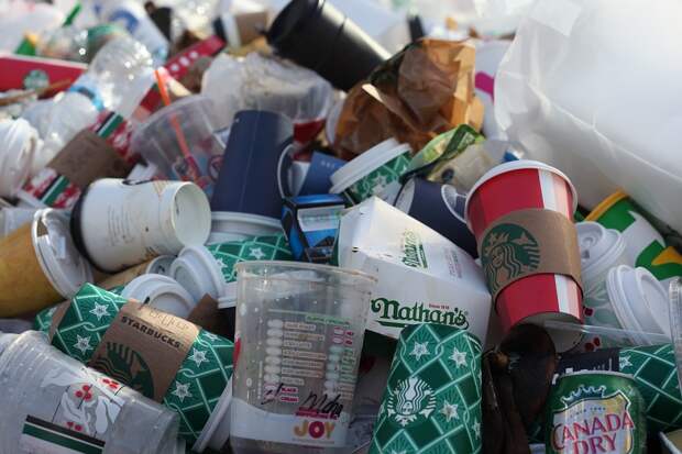 Coffeetogo, Disposable Cups, Pollution, Plastic