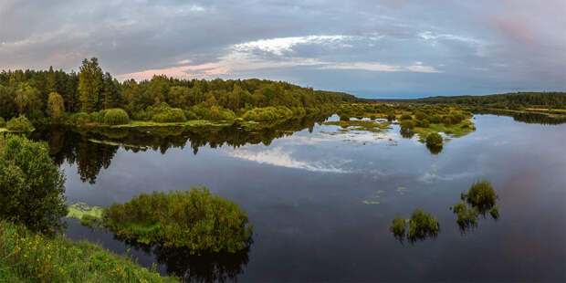Все сходится: 7 экотроп Санкт-Петербурга и Ленинградской области