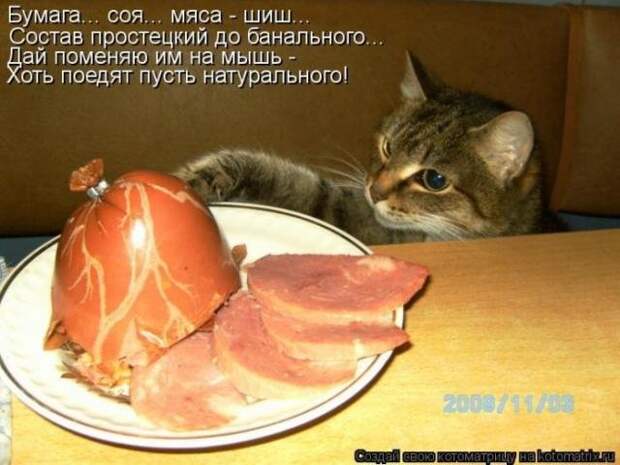 Позитивные зверушки. Весёленькие фото Позитивные зверушки. Весёленькие фото