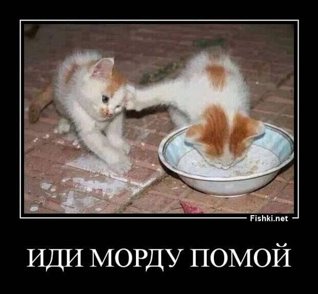 Демотиваторы демотиваторы, прикол, смех, юмор