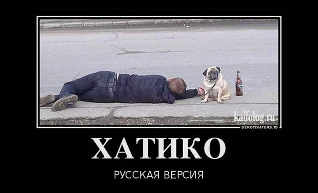 Демотиваторы про пиво (60 штук)