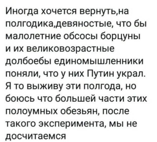 Политические комментарии из инета