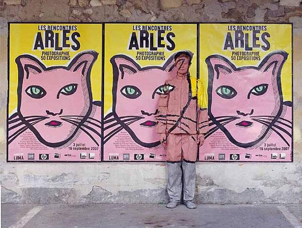 Камуфляж Лю Болина Arles