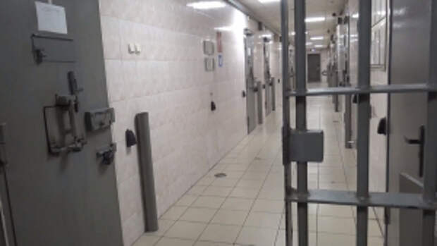 В Подмосковье полицейские задержали женщину, подозреваемую в серии краж телефонов в г.о. Балашиха