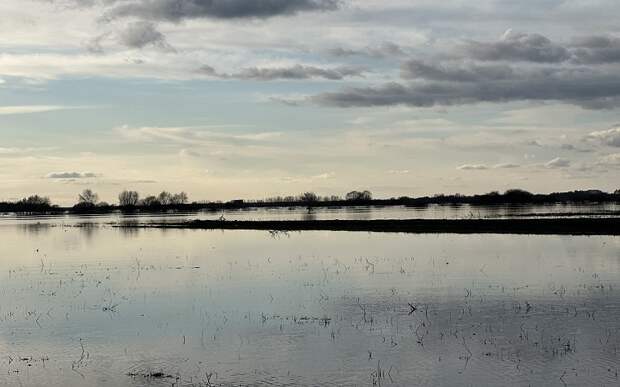 Касимов держится: в Рязанской области половодье развивается лишь в одном месте