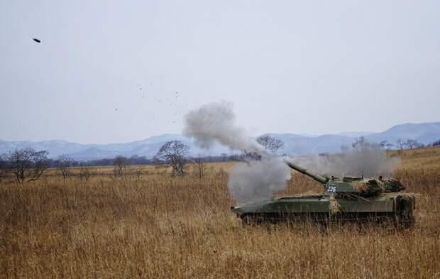 Полковая самоходная гаубица 2С1 "Гвоздика" калибра 122 мм. Предназначена для подавления и уничтожения живой силы, артиллерийских и минометных батарей, а также для разрушения дзотов, обеспечения проходов в минных полях и полевых заграждениях