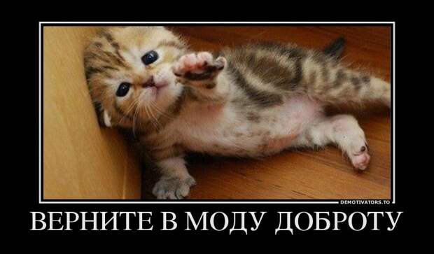 Демотиваторы демотиваторы