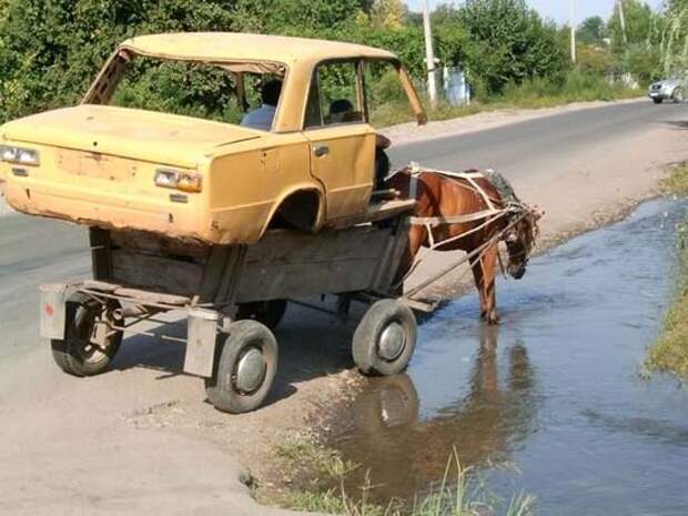 Смешные фотографии