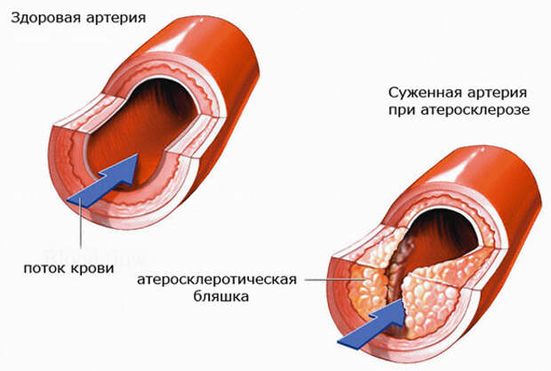 Наука. Kрупнейшая афера XX века