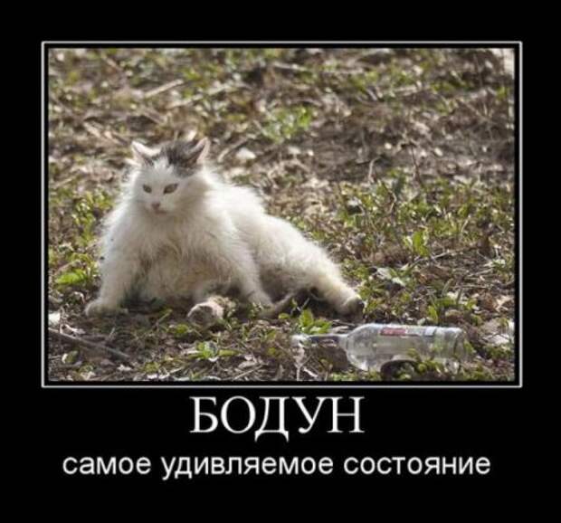 Хочу прикольные демотиваторы.