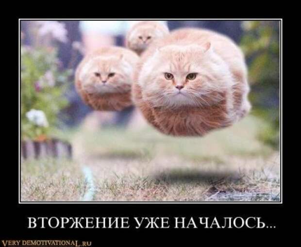 Демотиваторы смешные, с приколами к понедельнику то что надо!!!