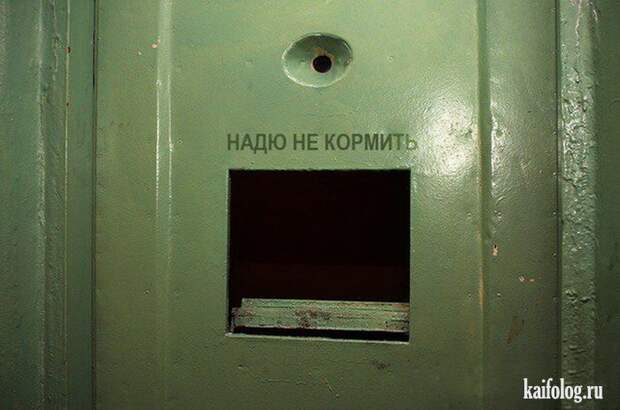 Фото приколы про Россию. Подборка - 270 (85 фото)