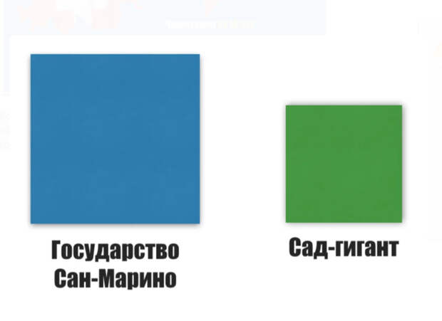 Сад-гигант на Кубани – это самый большой фруктовый сад в Европе