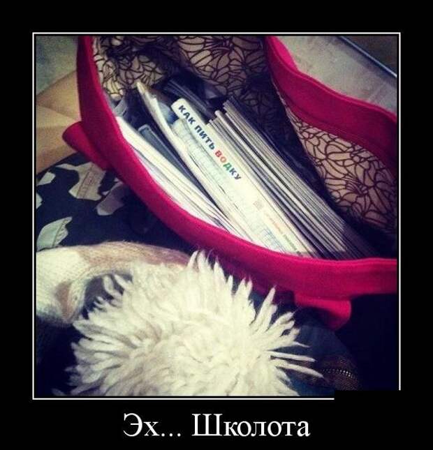 Демотиваторы (30 фото)