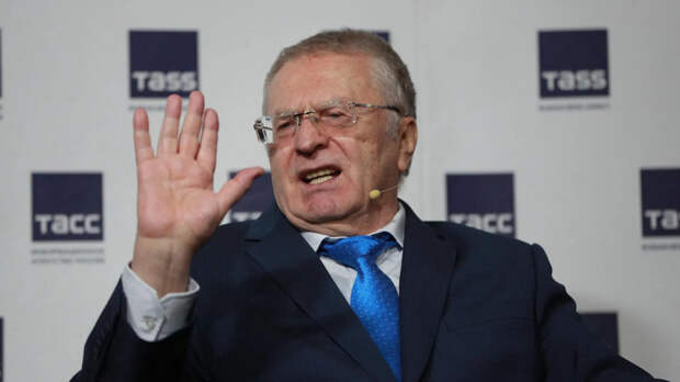 Наследники Жириновского вновь обратились в суд