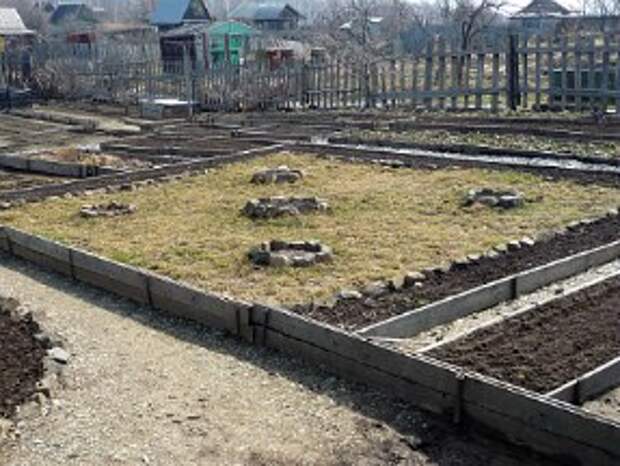 работы в саду и огороде осенью (сентябрь – октябрь – ноябрь)