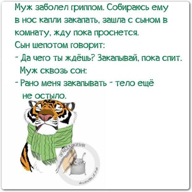 Спор с женщиной - как охота на слона... Спор с женщиной - как охота на слона...
