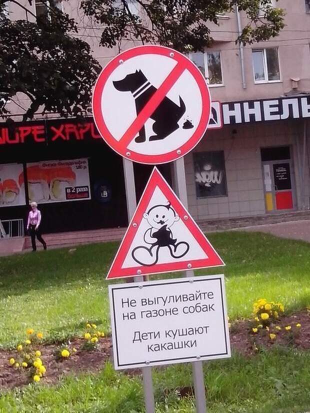 Просто так знак не поставят  дети, коты, прикол, юмор