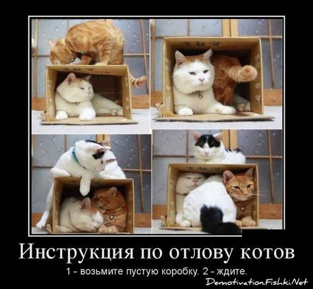 Сборник моих демотиваторов демотиватор, сборник