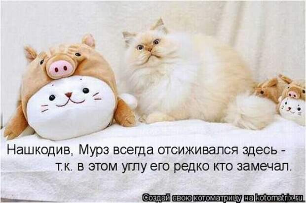 Котоматрица 26