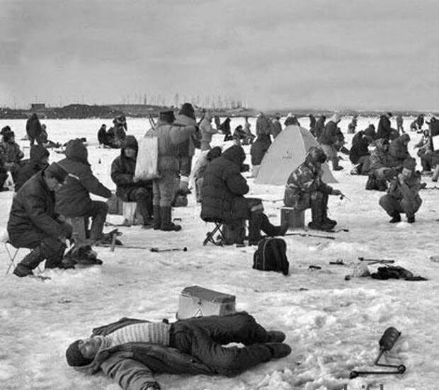 Приколы Приколы