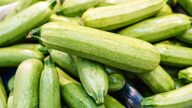 Кабачки пролежат долго: как их правильно собирать и каким образом лучше хранить разные сорта