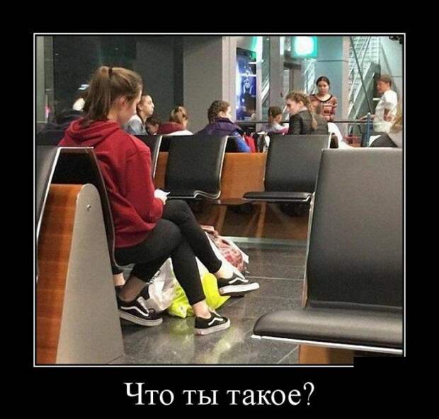 Демотиваторы