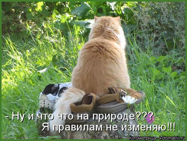 Котоматрица: - Ну и что что на природе??? Я правилам не изменяю!!!