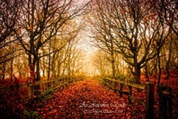 ФОТОГРАФ MIKE SHAW 34