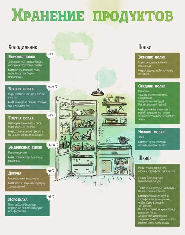 Как хранить продукты продукты, холодильник, хранение