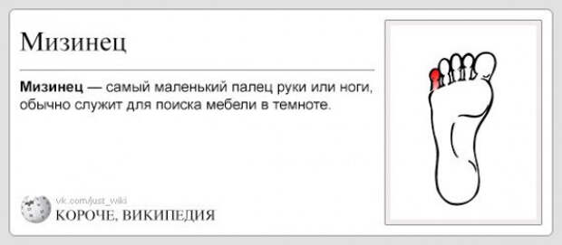 википедия для ленивых