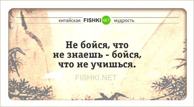 24 мудрые китайские пословицы и поговороки китай, поговорки, пословицы