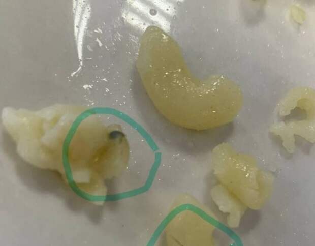 В Челябинской области родители учеников двух школ пожаловались на еду в столовой