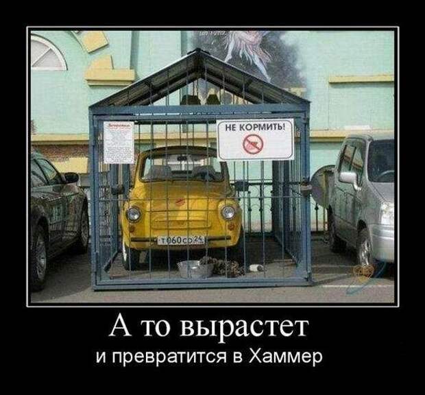 Демотиваторы (133 картинки)