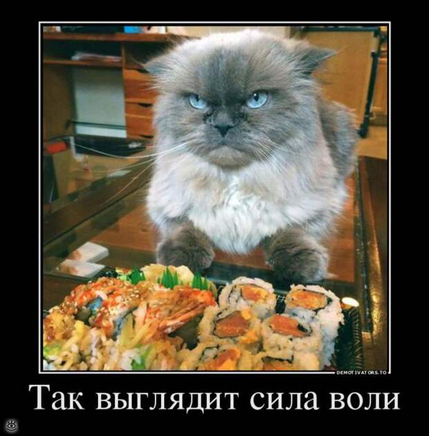 Осеннее остроумие в демках 17