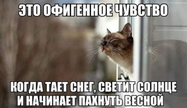 Веселые картинки Веселые картинки прикол, фото, юмор