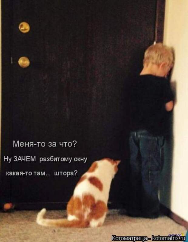 Котоматрица на Бугаге (28 фото)