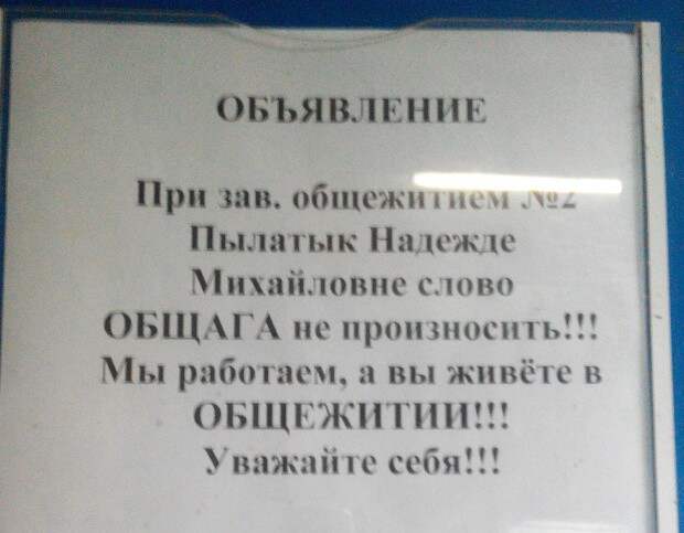 20 объявлений, которыми мы гордимся объявления, смешно