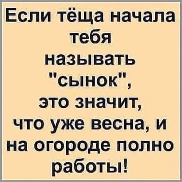 Небольшой горный городок в Грузии. Наш командировочный заходит в вино-водочный магазин...