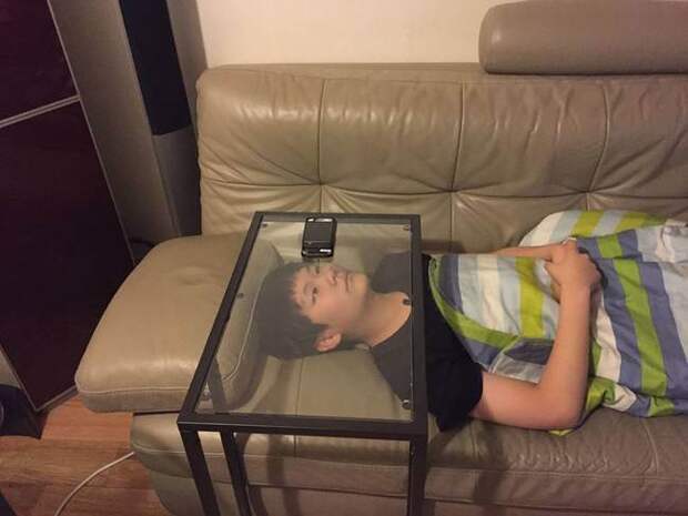 14 фотографий о лени
