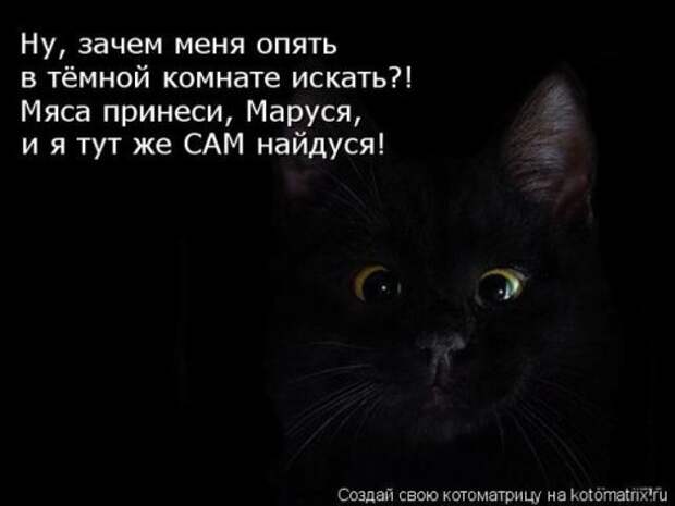 Отличная коллекция котоматриц (25 шт)