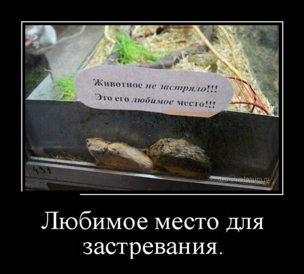 Демотиваторы демотиваторы, юмор