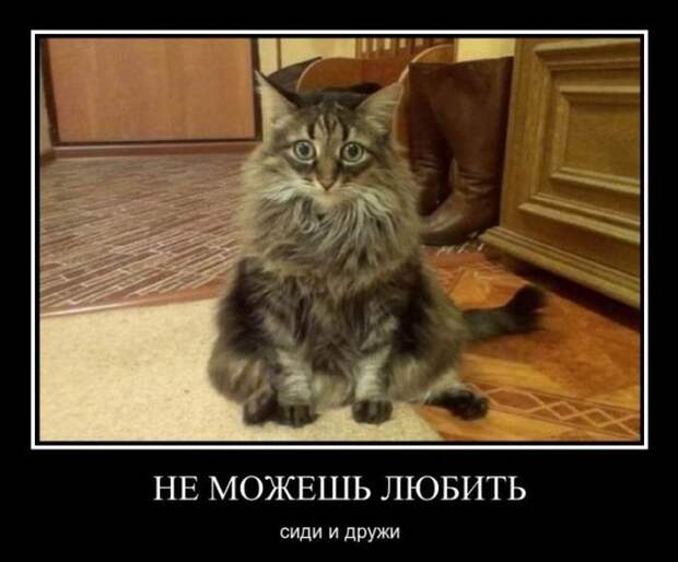 Не можешь любить? Сиди и дружи... демотиватор, юмор