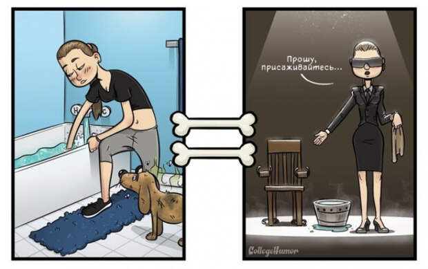 мир глазами собак 
